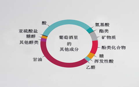葡萄酒里的成分有哪些？
