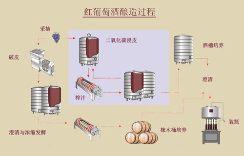 紅葡萄酒的釀造過(guò)程