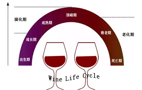 葡萄酒的演化、氧化與老化