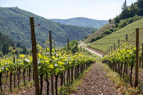 加蒂納拉葡萄酒產區（Gattinara DOCG）